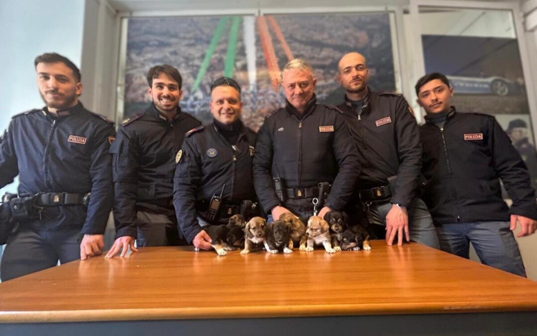 Otto cuccioli salvati dalla Polizia a Monteverde