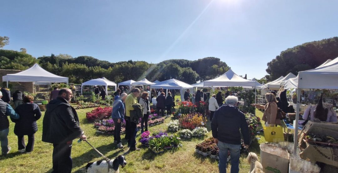 A  Civitavecchia successo per Terme in Fiore, i ringraziamenti della Pro Loco