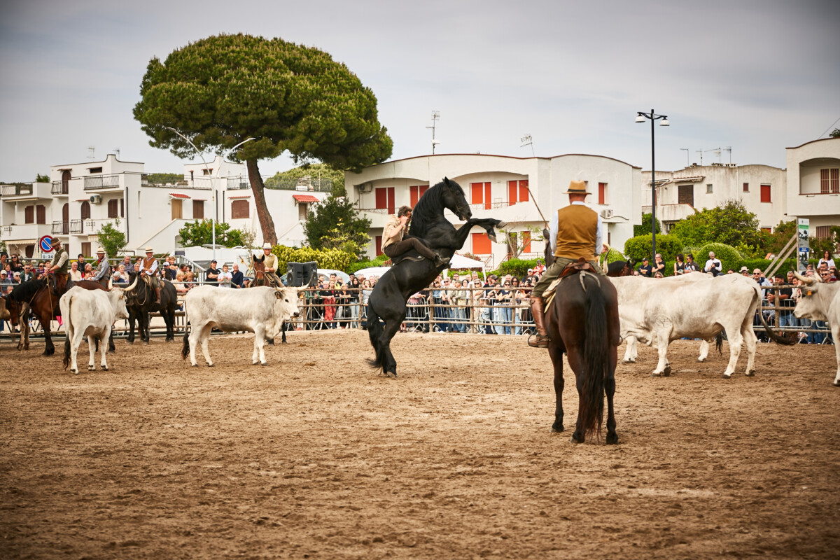 Maremma d'aMare 2026