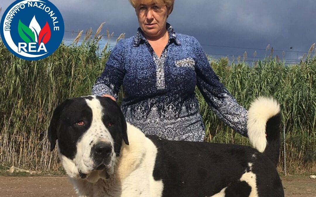 Animali a Roma, Rea: “Fallimento del connubio influencer/garante del Comune nel caso dei molossi della Muratella”