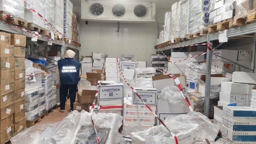Pesce all’ingrosso non conforme, la Guardia Costiera di Fiumicino ne sequestra 5 tonnellate