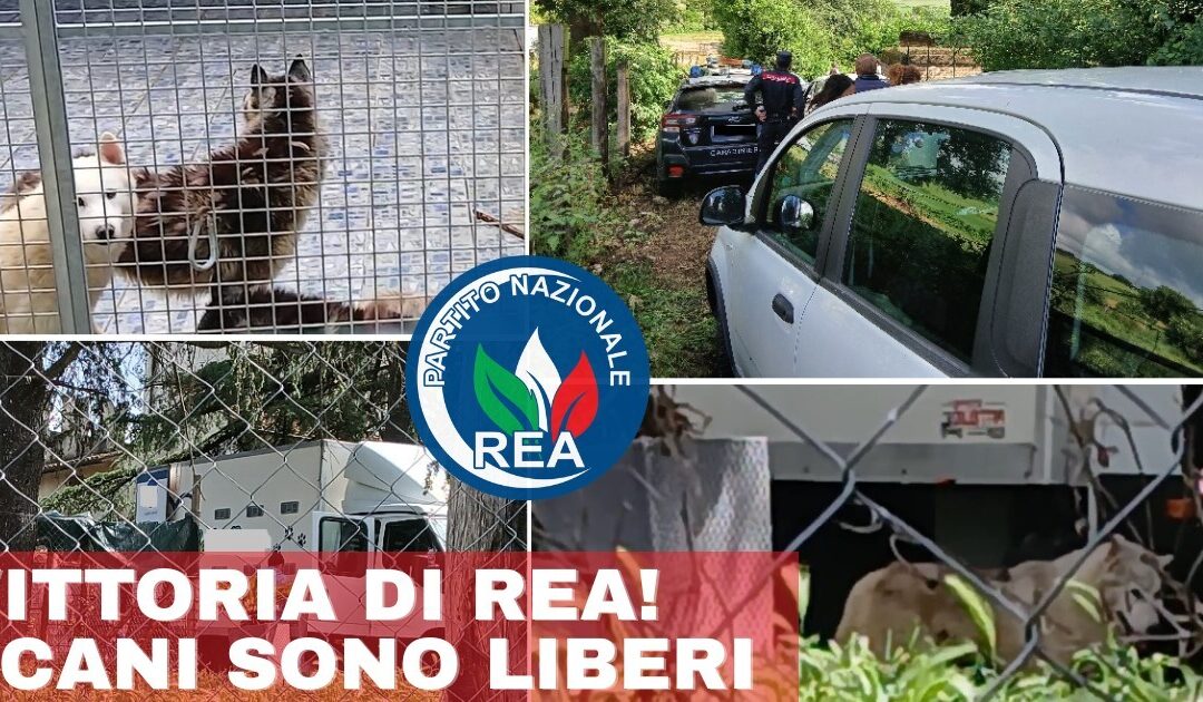 Caso Husky di Ponzano: vittoria di REA, i cani sono finalmente liberi