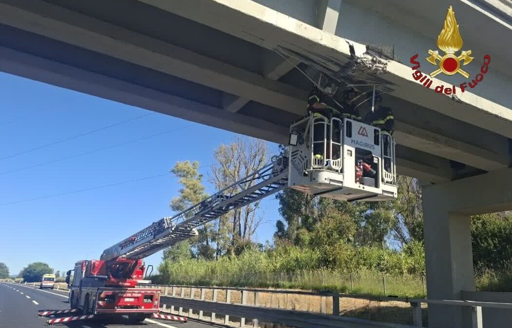 Incidente sulla A12, verifica dei pompieri su due ponti a Torrimpietra