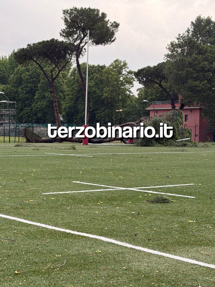 acquacetosa albero caduto campo rugby pali
