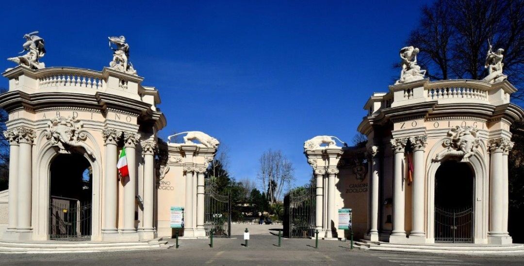 Decathlon Italia e FITP insieme al Bioparco di Roma: weekend di sport, inclusione e attività all’aria aperta