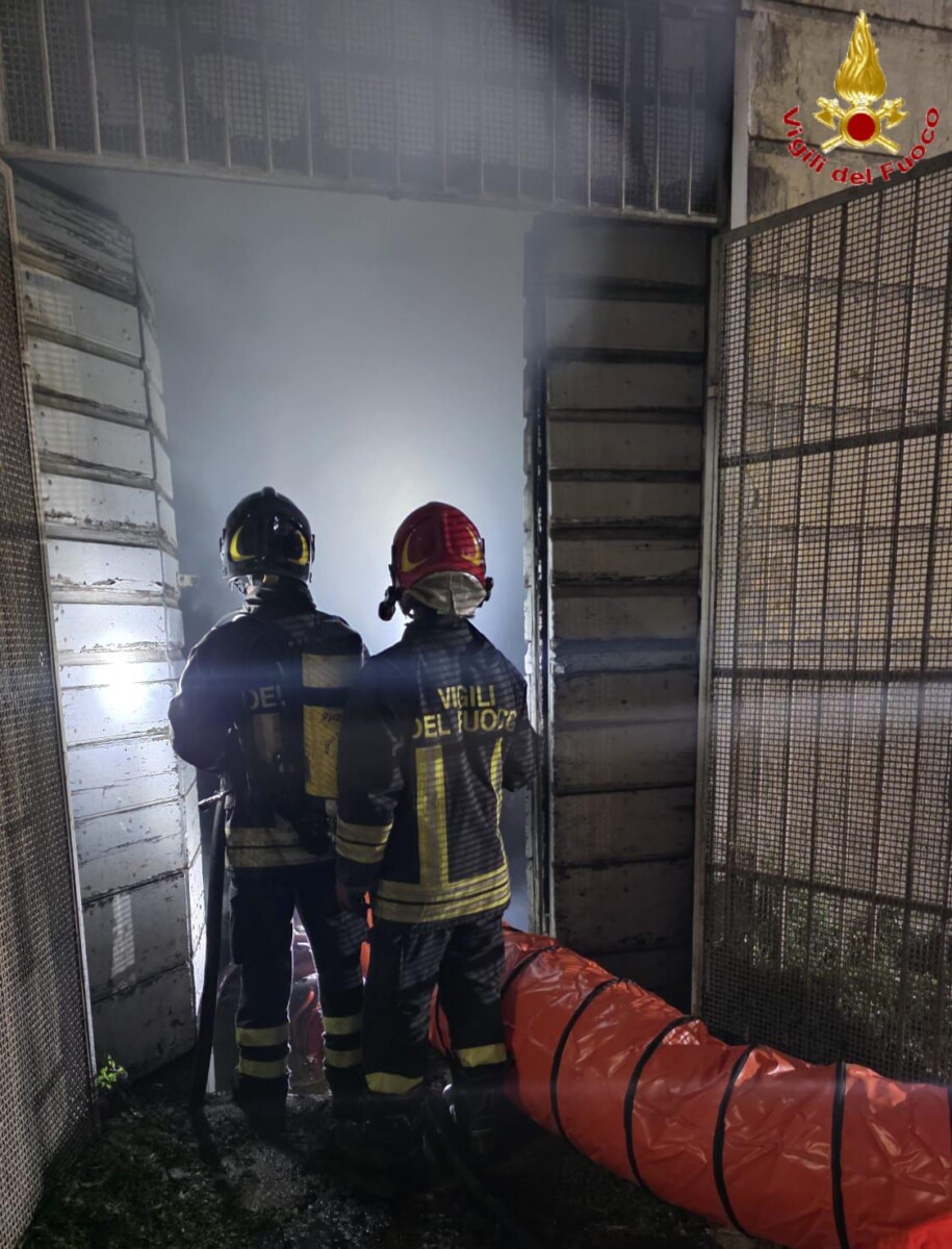 incendio magazzino stegher vvf vigili fuoco pompieri civitavecchia 1