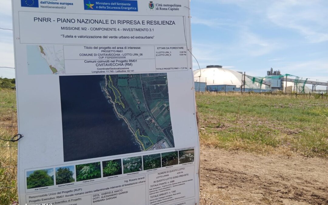 Bioma: “Piante secche alla Frasca, buttati fondi Pnrr”