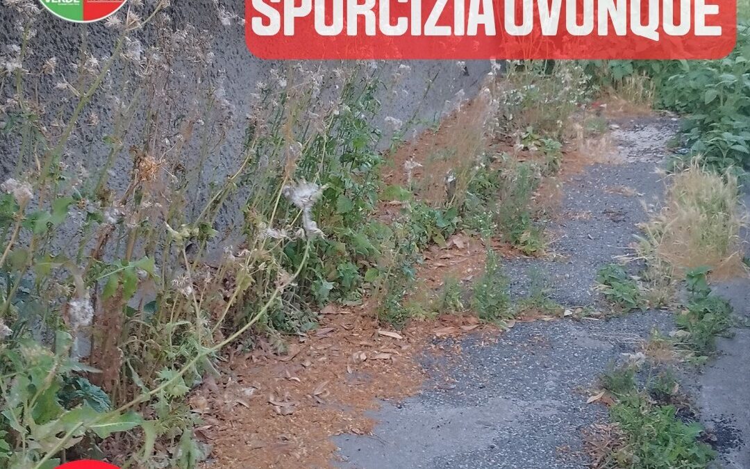 Si Ladispoli: “Monnezza in città, non è solo colpa dei cittadini”