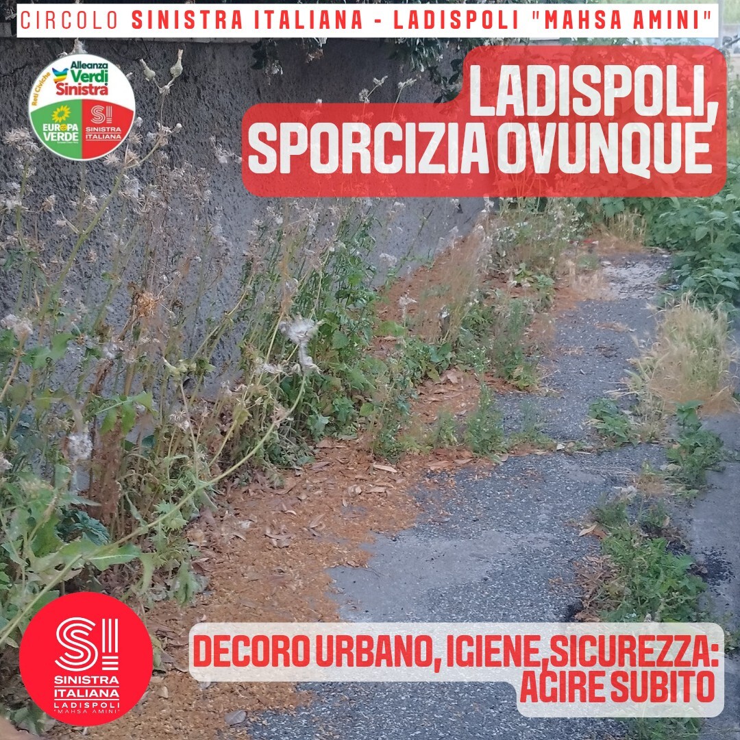si ladispoli monnezza