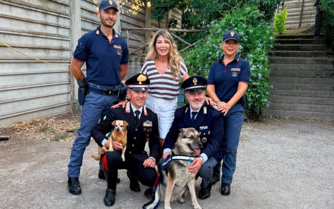 Animali a Roma, Prestipino: “Grazie a Carabinieri e Polizia per campagna bipartisan contro l’abbandono”