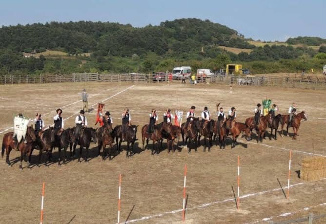 A Tolfa domenica dedicata al 36^ Torneo dei Butteri Rionale