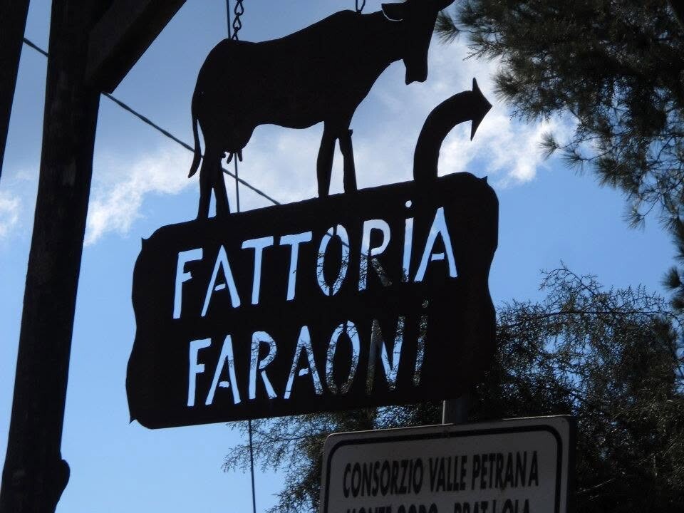 fattoria faraoni
