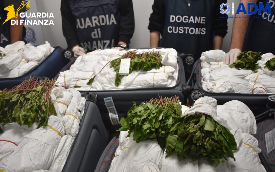 Israeliano con valigie piene di khat denunciato a Fiumicino
