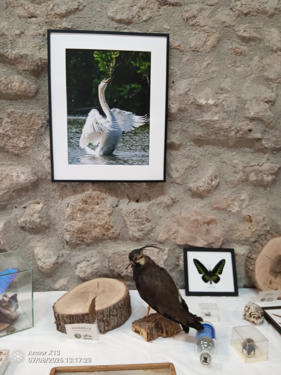 mostra bioma mostra bioma