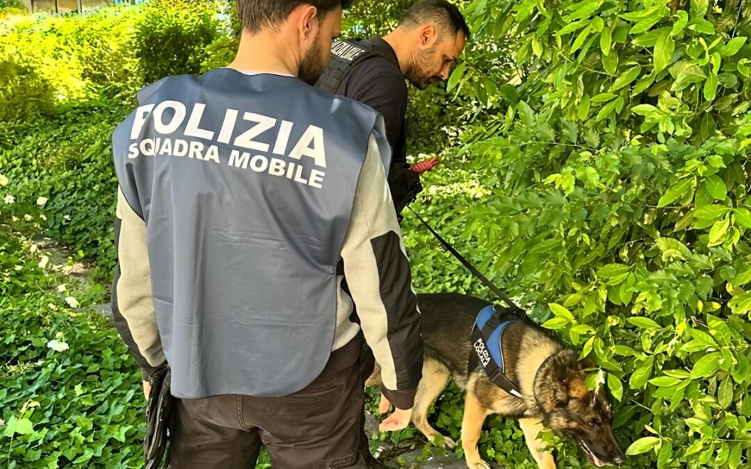 Casolare della droga a Palidoro, arrestato 57enne di Civitavecchia