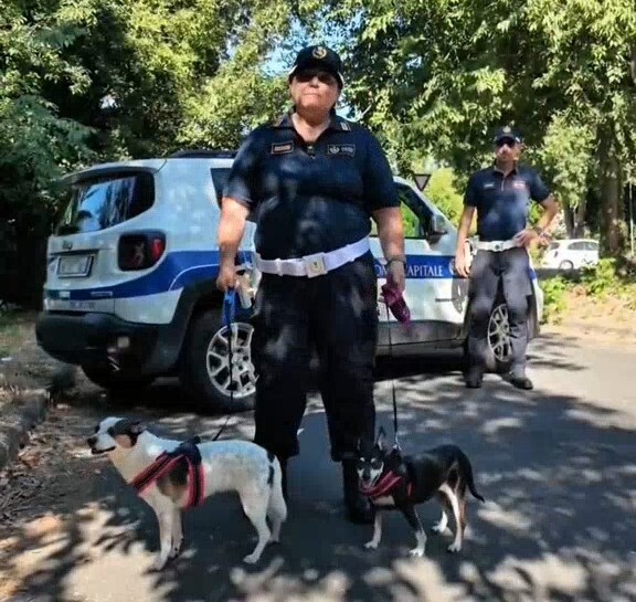 Animali, “Non abbandonare chi ti ama”: la campagna di sensibilazzione della Polizia Locale di Roma Capitale