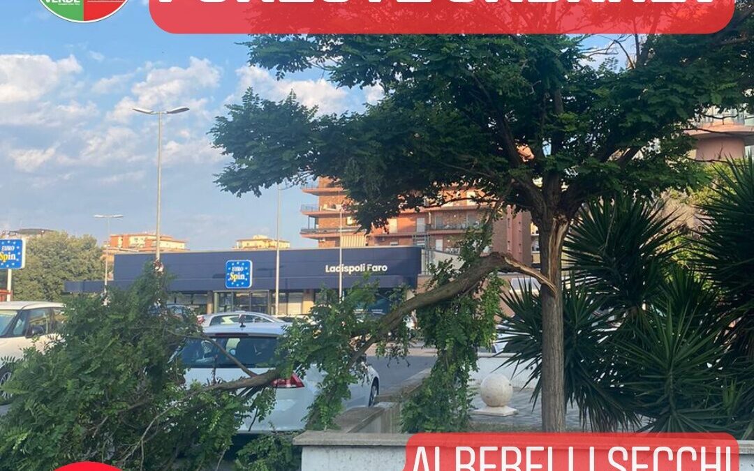 Si Ladispoli: “Palazzo Falcone non ha rispetto del patrimonio arboreo”