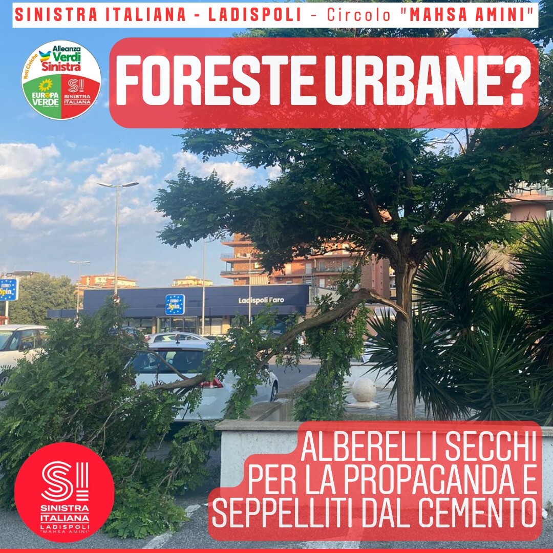si ladispoli alberi