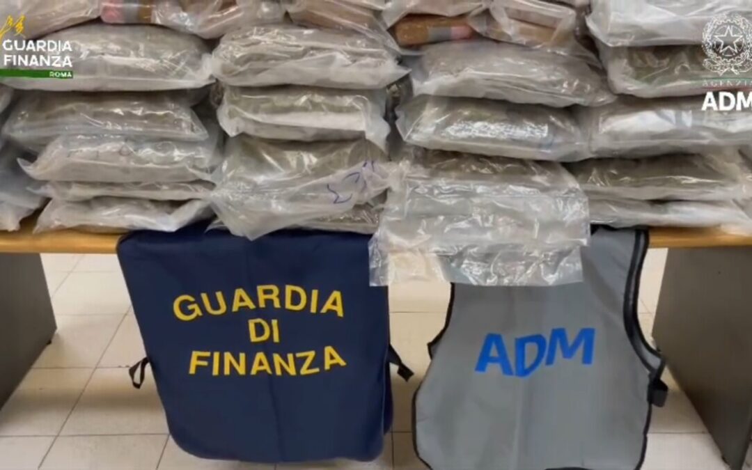 I cagnoloni finanzieri Ice e Frida scoprono 86 kg di droga al porto di Civitavecchia