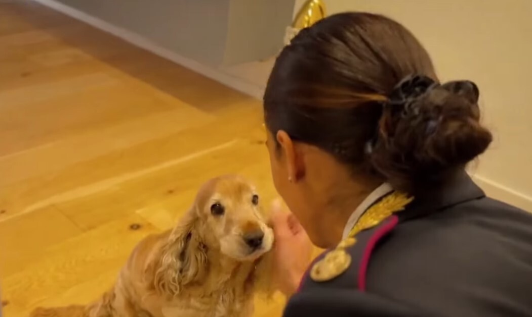 Polizia di Stato: nuovo spot contro l’abbandono degli animali nel periodo estivo