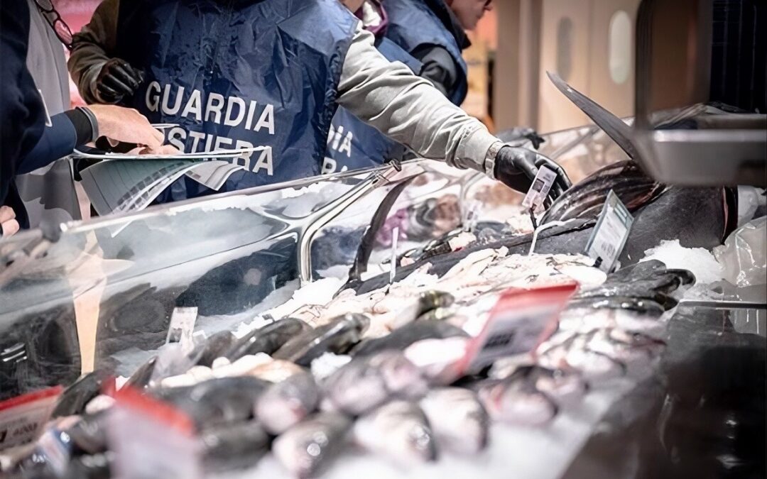 Mercato ittico di Civitavecchia, controlli della Guardia Costiera
