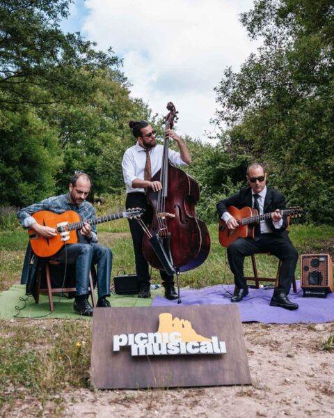 tolfa jazz pic nic musicali (2)