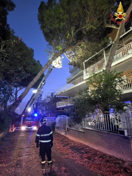 albero pino pericolante santa marinella vvf vigili fuoco pompieri (3)