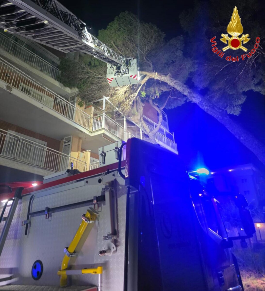 albero pino pericolante santa marinella vvf vigili fuoco pompieri (3)