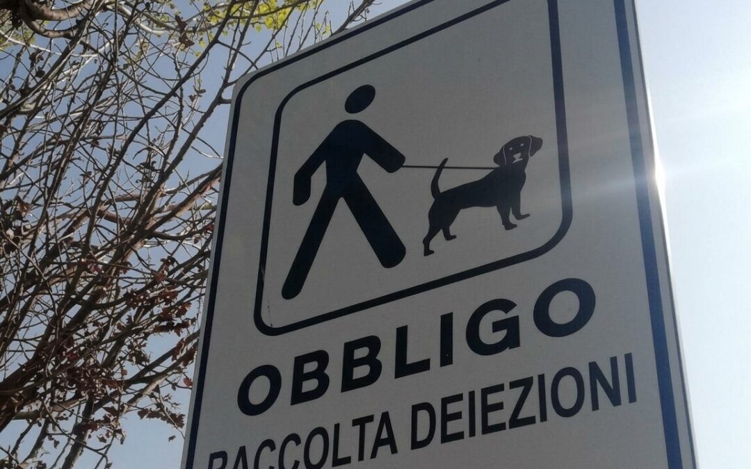 Lascia a terra la cacca del cane, sanzione da 100 euro a Tarquinia