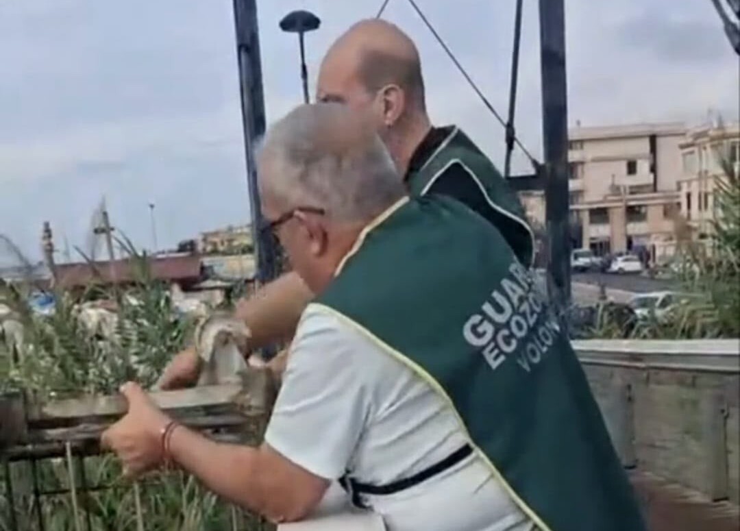 fareambiente ladispoli recupero carrello fareambiente ladispoli recupero carrello
