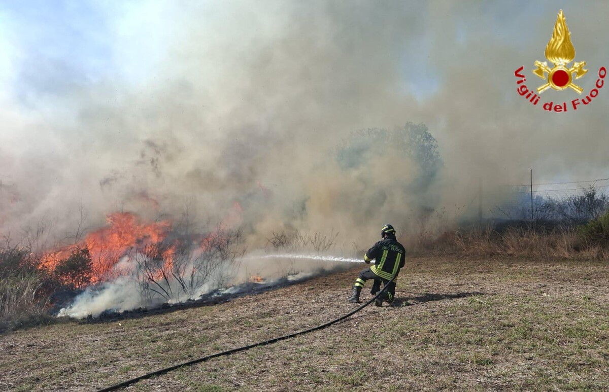 incendio colline argento vvf vigili fuoco pompieri via andrea moneta civitavecchia 3 incendio colline argento vvf vigili fuoco pompieri via andrea moneta civitavecchia 2