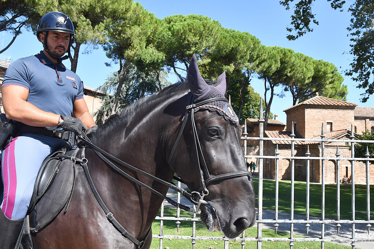 polizia a cavallo 2 polizia a cavallo