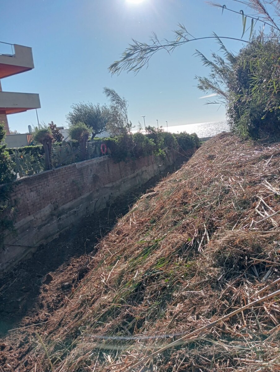 pulizia fosso santa marinella