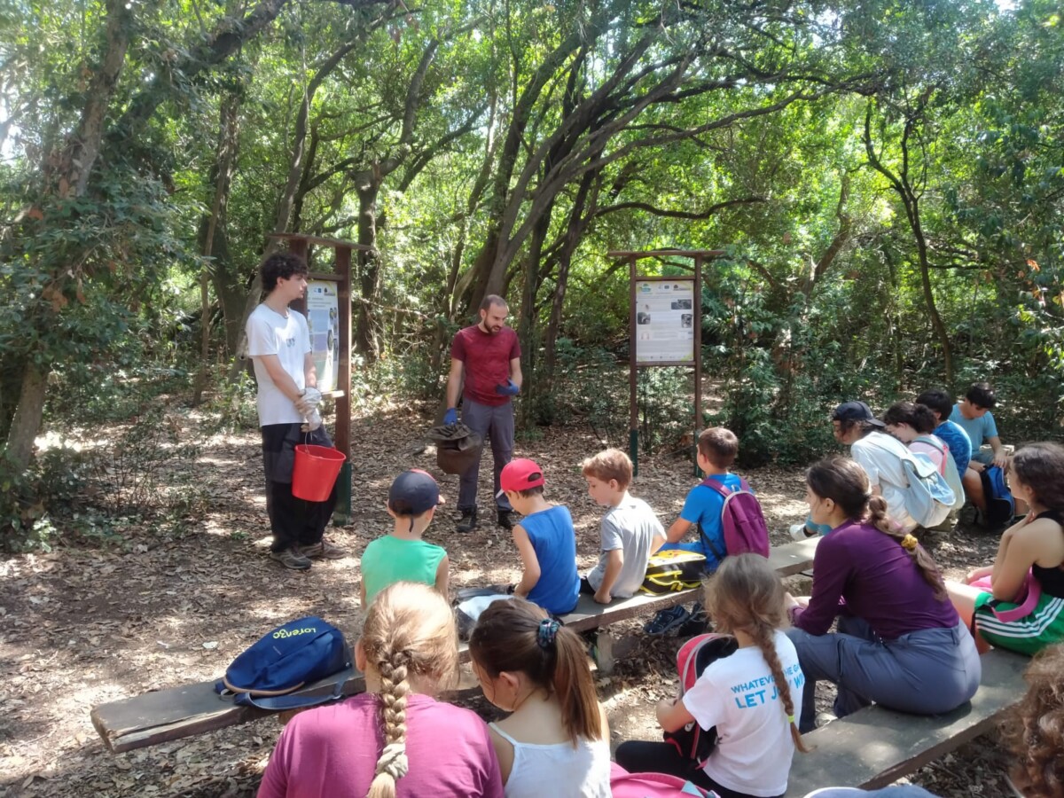 scuola bosco 2 scuola bosco