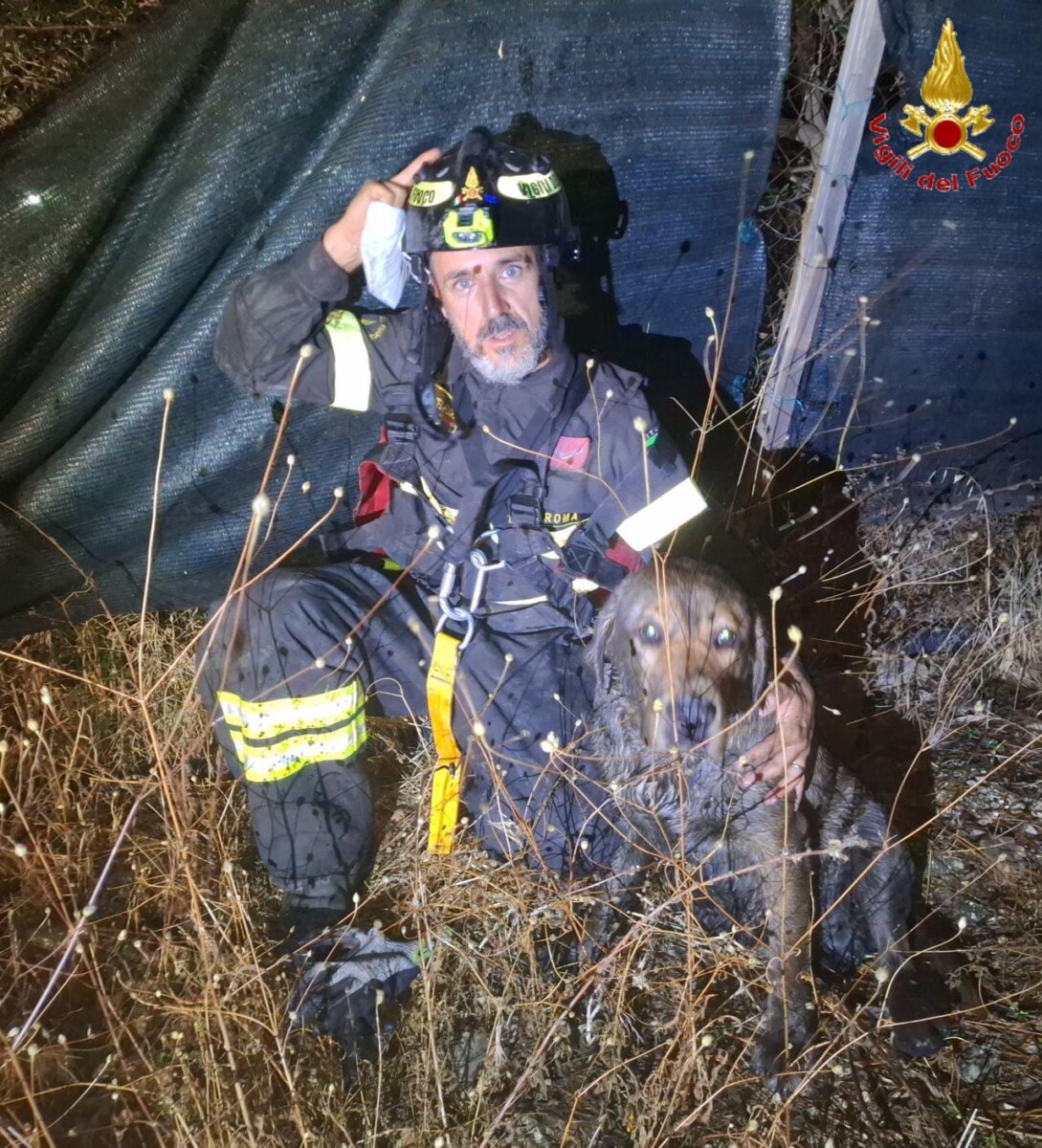 vvf vigili fuoco pompieri cagnolone civitavecchia